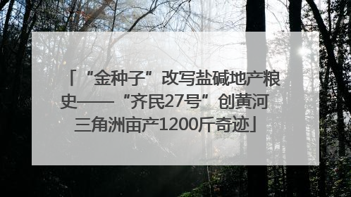 “金种子”改写盐碱地产粮史——“齐民27号”创黄河三角洲亩产1200斤奇迹